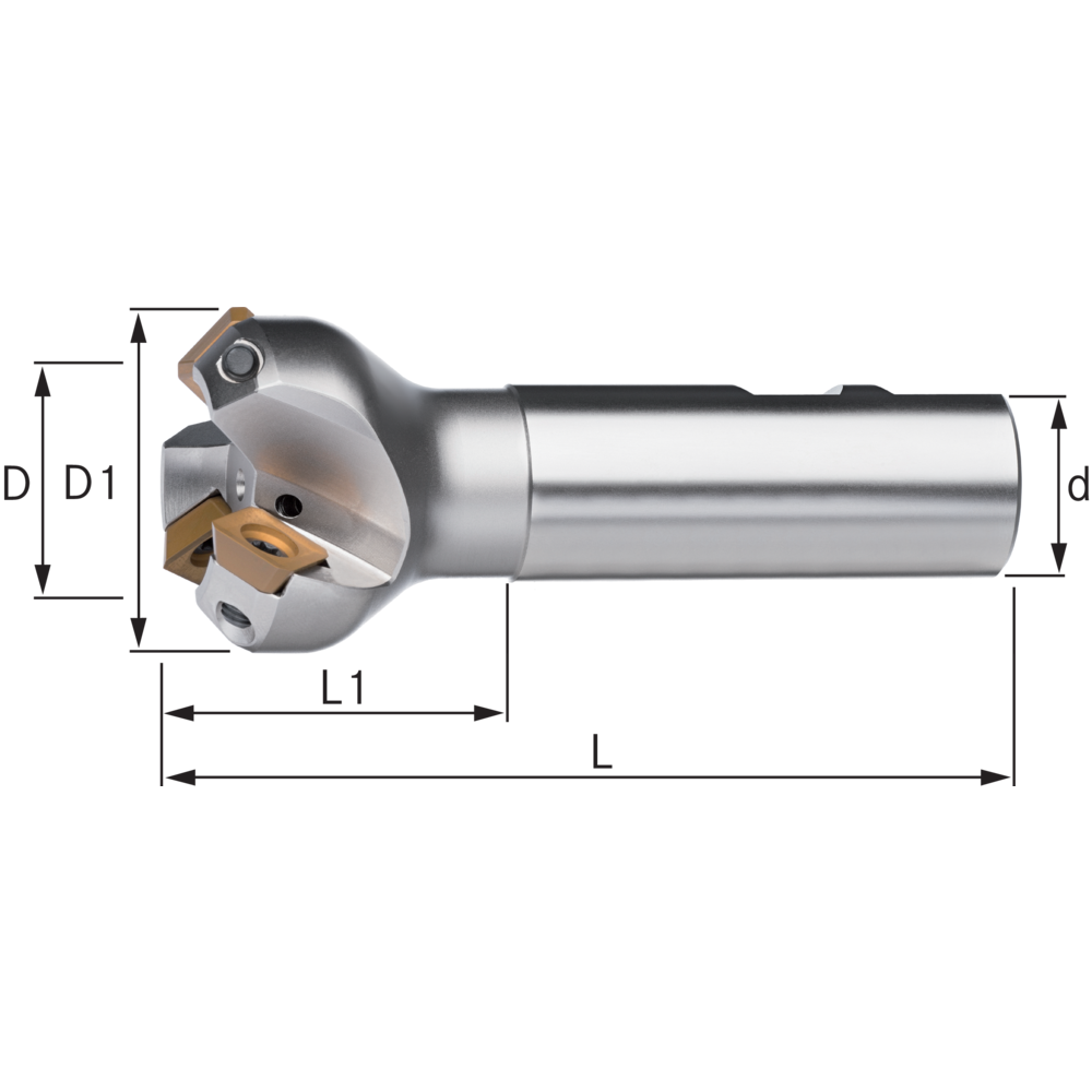 End milling cutter 45° 25x100mm, shank 25mm, for 2 indexable inserts SE..1204