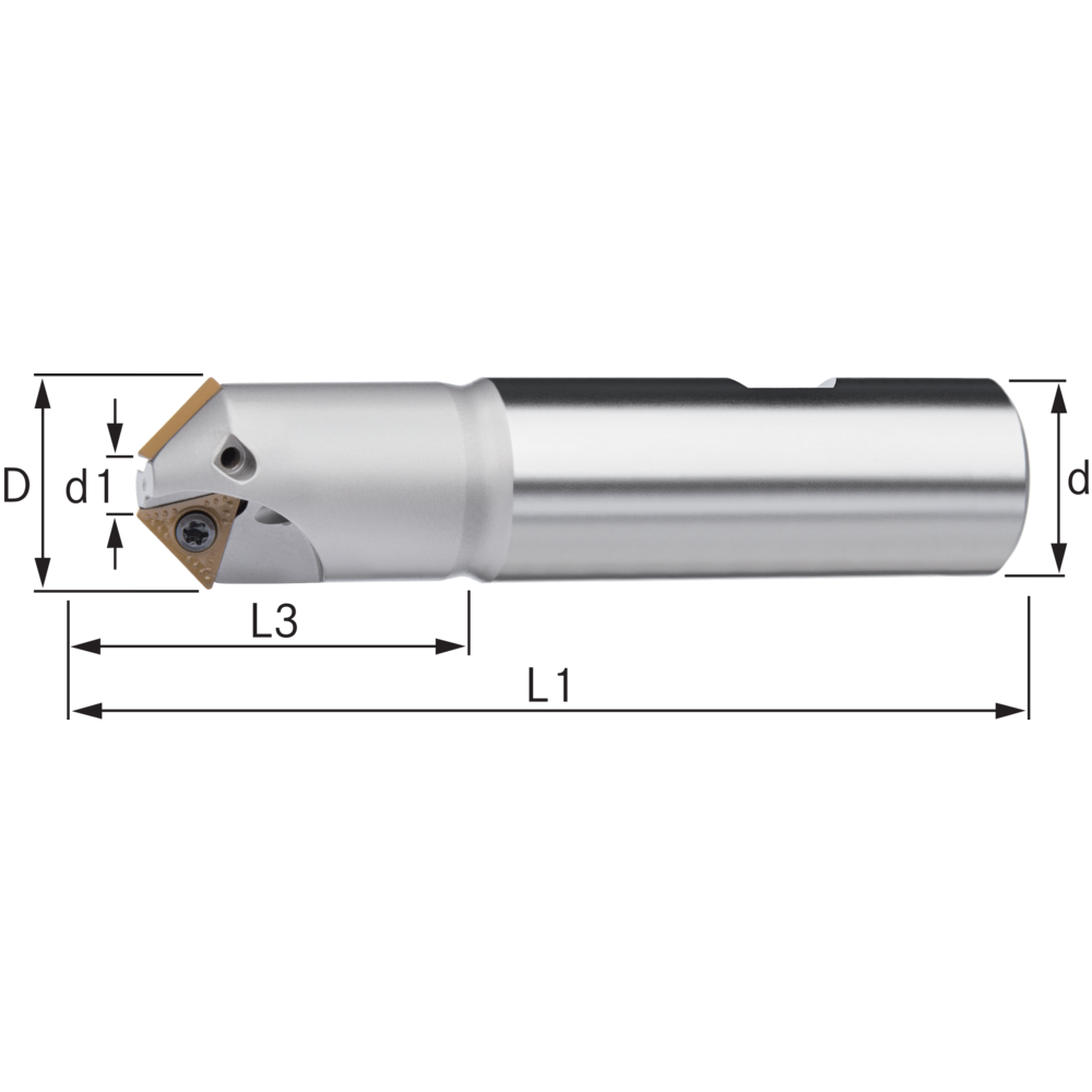 Chamfer cutter 30° 6-32mm L=100mm for 2 indexable inserts TCMT 16T3.. D1=25mm