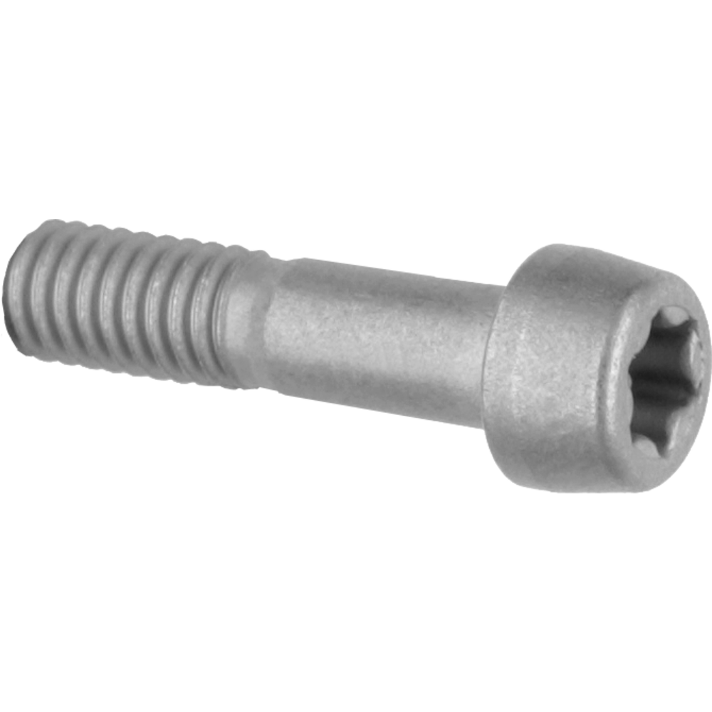 Screw M4 x 16 for AME 16 Nm 4.0