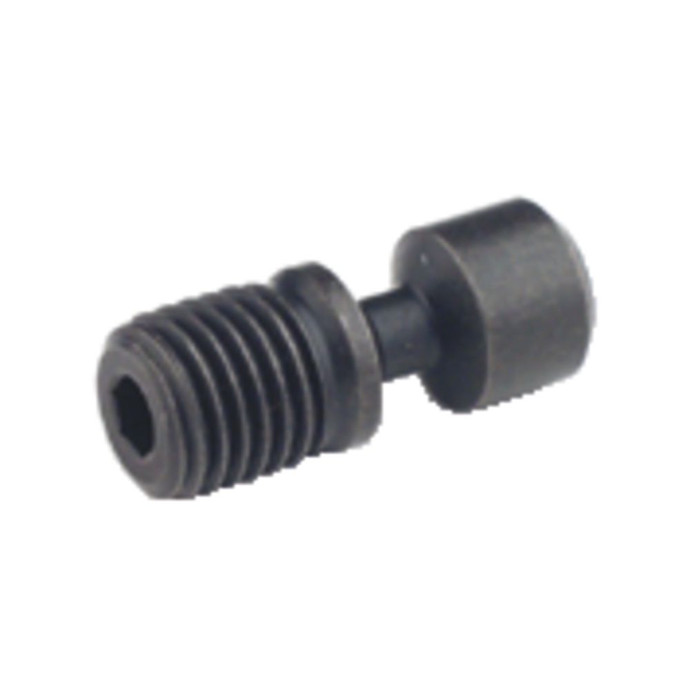 Screw for clamp mounting PCLN. 12 ; PDJN. 15 ; PSSN. 12 ; PWLN. 08