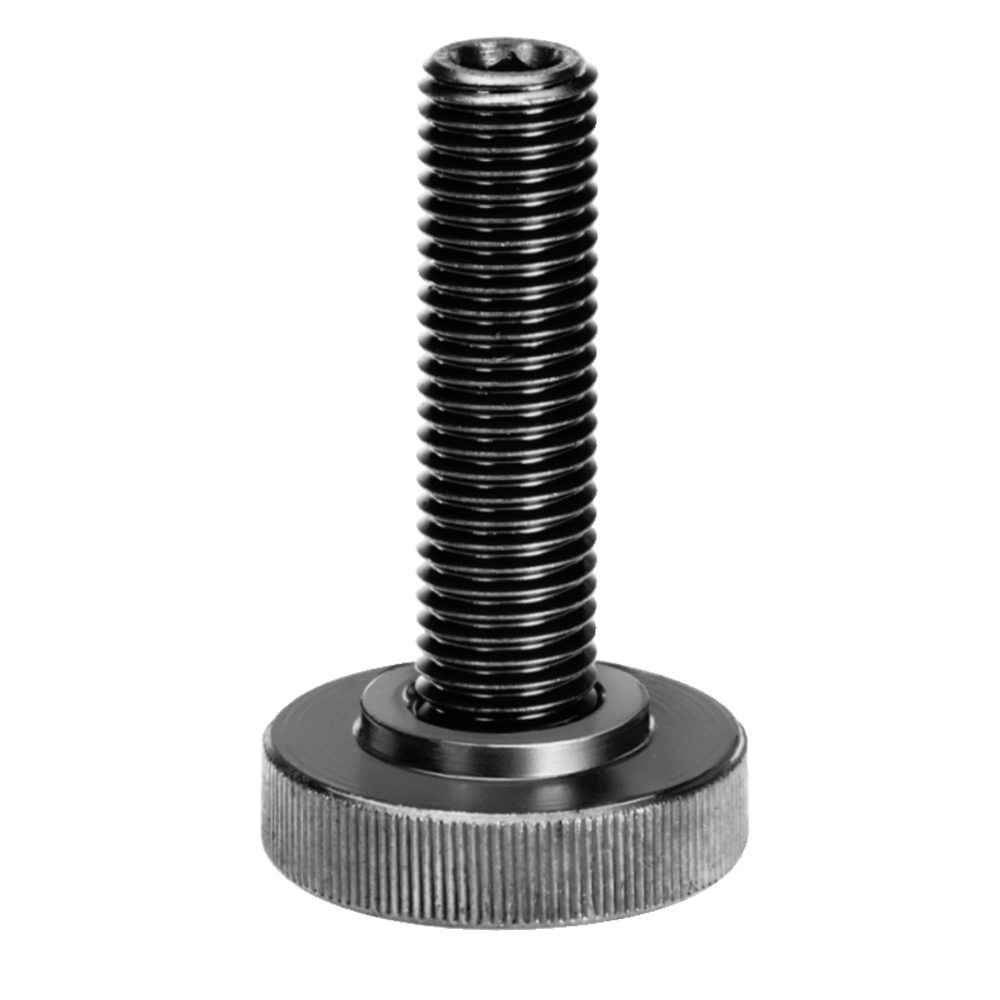 Support screw DIN6314S M10x39mm
