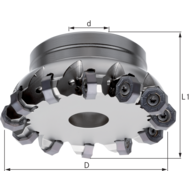 WSP Planfräser D=100 Z= 9