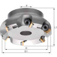Face milling cutter 45° 100x32mm for 6 indexable inserts SE.. 1203