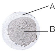 Repair putty (1 stick) PTY 291-DE