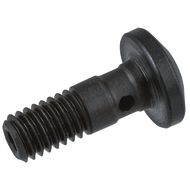 Coolant locking screw for thread tool holder with IC