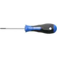 Screwdriver TR20 x100mm with bore