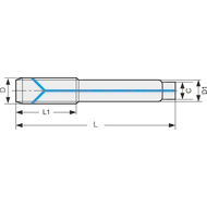 Forming tap HSS-E S-OIL-XPF DIN2174C MF8x1 6HX with internal cooling