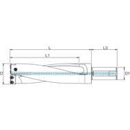Indexable insert drill bit TDC 596540-3D 65-59 mm (WCKX 06T308)