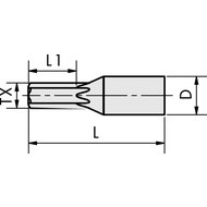 Profile broach Torx 40; holding fixture Ø 12 mm TIALN